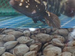 -三亚火车头万人海鲜广场