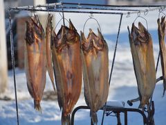 -渔公馆·川菜馆·家宴·生日宴(大地中央广场店)