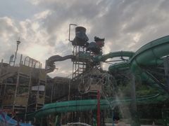 -重庆海昌加勒比海水世界