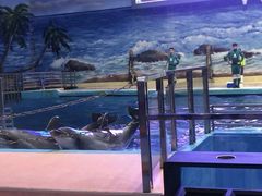 -福州罗源湾海洋世界旅游区