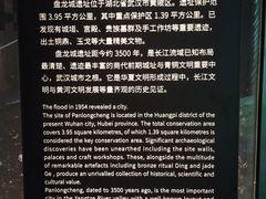 -盘龙城国家考古遗址公园