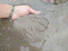 android_upload_pic-万尾金滩