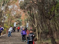 -窦圌山风景区