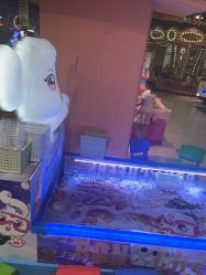 -卡通尼·Safari非洲探索乐园·生日会(金桥国际商业广场店)