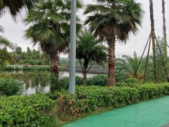 -枫香湖儿童公园