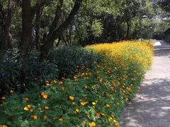 -西湖风景区-江洋畈生态公园