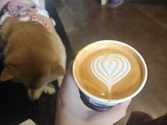 -HANA COFFEE(长寿路店)
