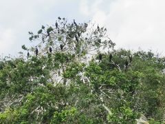 -惠州西湖丰渚园