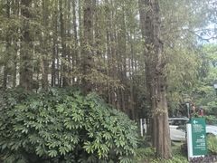 -上海虹桥迎宾馆