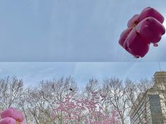 -金茂览秀城