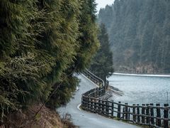 -武陵山森林公园