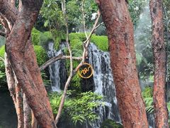 -Chom Cafe and Restaurant