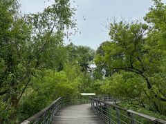 -西湖风景区-江洋畈生态公园