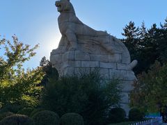 -帽儿山国家森林公园