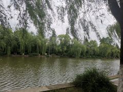 -宝鸡植物园