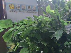 -华夏良子·足道SPA艾灸(王府井店)