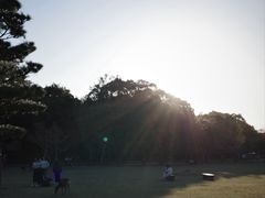 -奈良公园