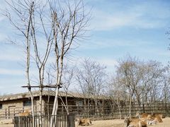 -济南野生动物世界