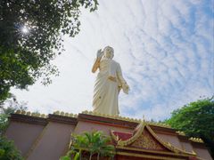 -西双版纳勐泐文化旅游区