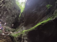 -牛背梁国家森林公园