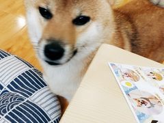 -罗莎蛋糕(建设路店)