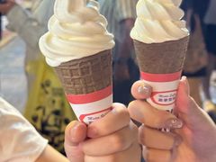 -富豪雪糕车流动点(尖沙咀店)