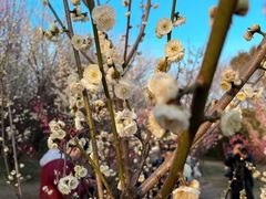 -蜀冈西峰生态公园