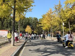 -力加客辣子鸡盖面(吾悦广场店)