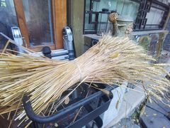 -三忘湖 SWANSEEN(柳荫公园店)