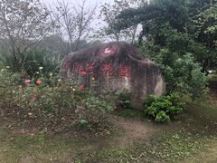 -鹅湖玫瑰文化园