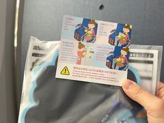 -全日本空输株式会社(上海办事处)