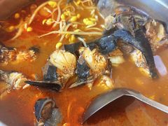 -弘烨 贵州酸汤 鱼火锅(东财店)