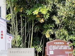 -张家港凤凰山景区恬庄古街