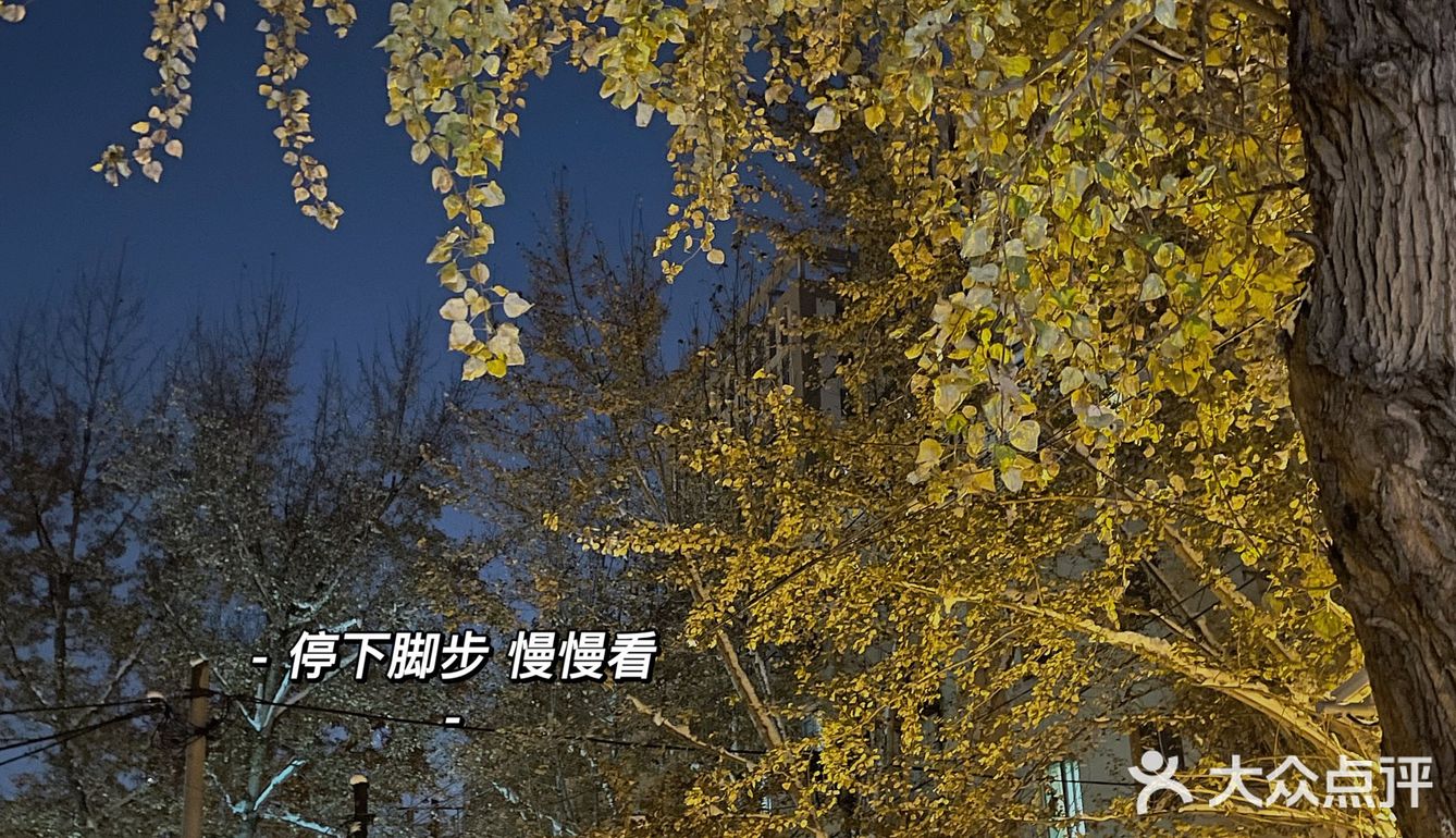 三味