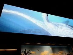 -贝林大翅鲸简餐厅(国家海洋博物馆店)