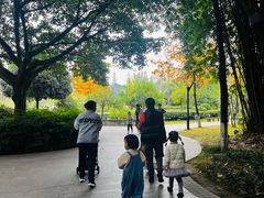 -成飞公园