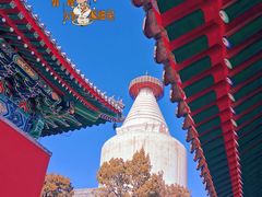 -妙应寺白塔