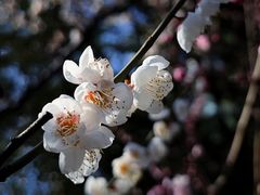 -静安雕塑公园