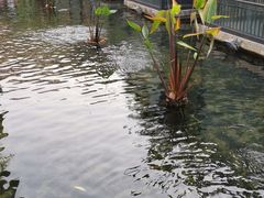 -鹅公村·国家非遗传承(荔湾店)
