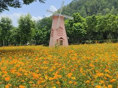 -顺峰山公园