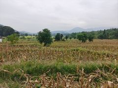 -塔川景区