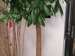 -感智盲人按摩·艾灸·肩颈SPA(岗厦店)