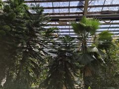 -龙达温泉生态城