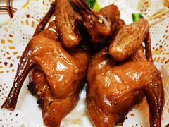 -津津名菜馆(绝没分店)