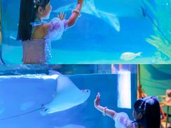 -沈阳海洋探索中心