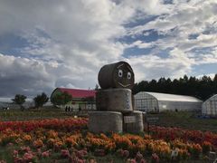 -富田农场