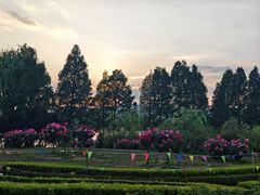 -庾园