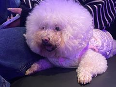 -黑桃K生日订制KTV