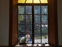 -马勒别墅·中餐厅