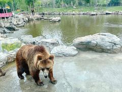 -北京野生动物园